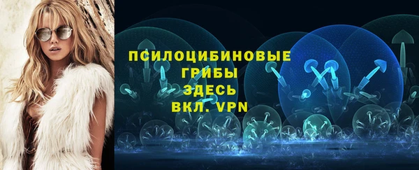 дмт Алзамай