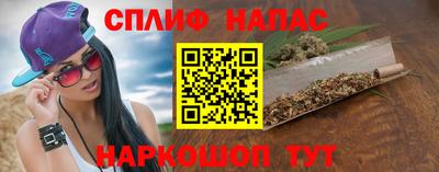 крисы Апшеронск