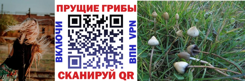 гидра вход  Салават  Псилоцибиновые грибы мицелий 