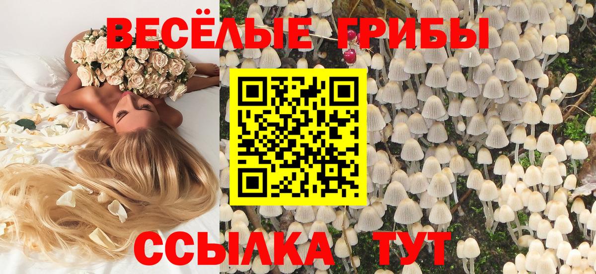 Салават  Псилоцибиновые грибы GOLDEN TEACHER  Вход с VPN 