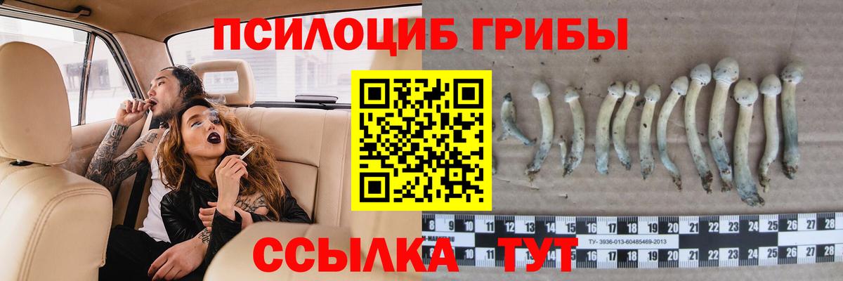 Галлюциногенные грибы мицелий Салават